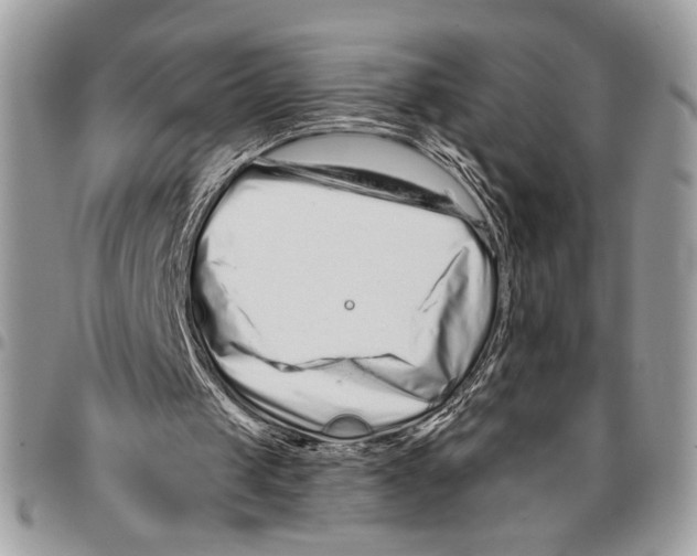 X0000095880049200802081104