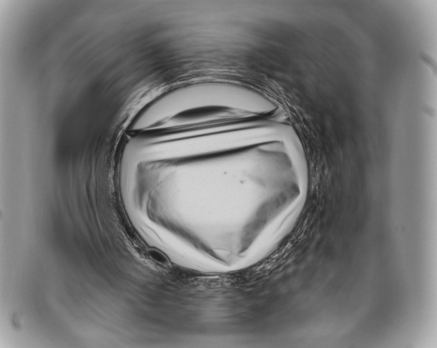 X0000095880050200802081104