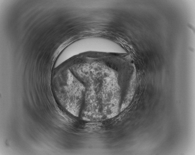 X0000095880051200802081104