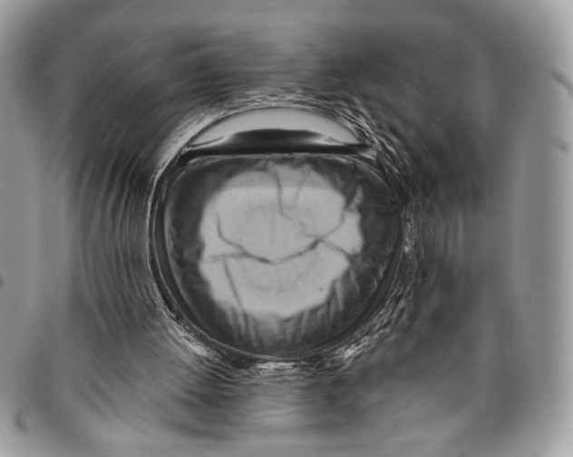 X0000095880052200802081104