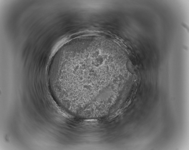 X0000095880053200802081104