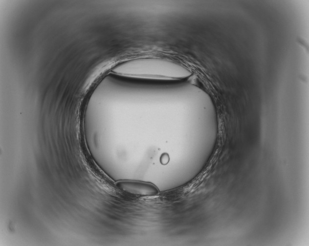 X0000095880054200802081104