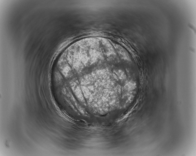 X0000095880055200802081104