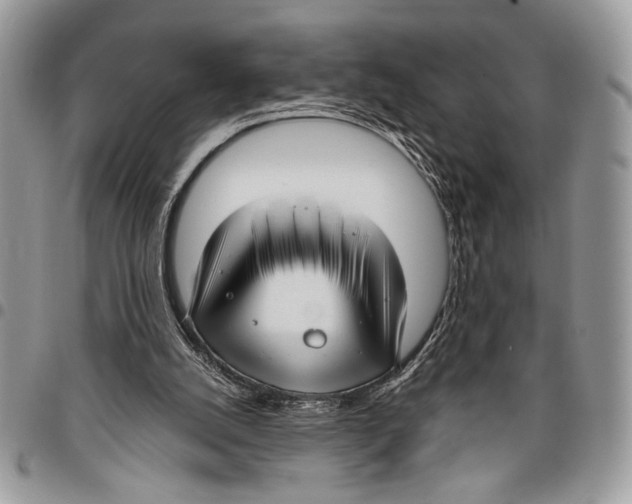 X0000095880056200802081104