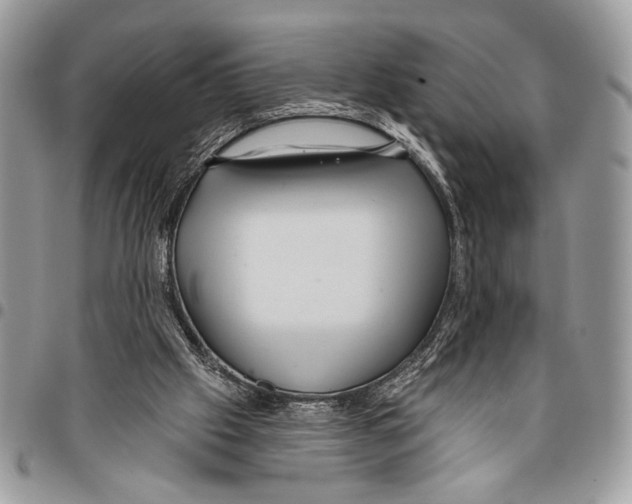 X0000095880057200802081104