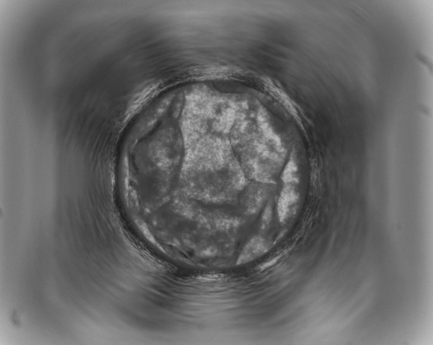 X0000095880059200802081104