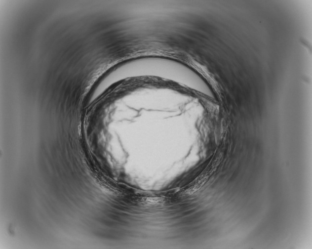 X0000095880060200802081104