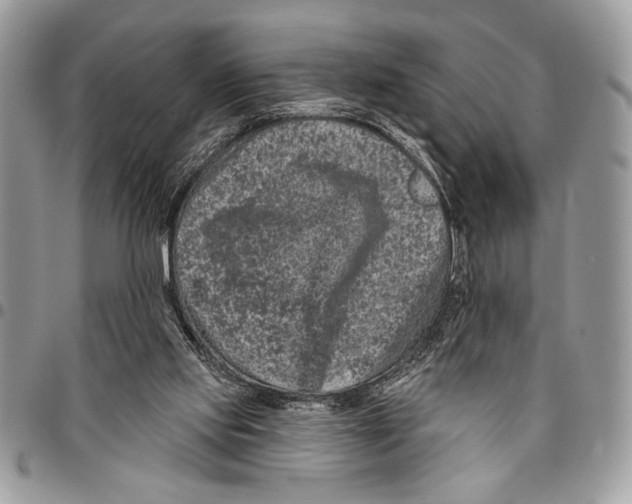 X0000095880061200802081104