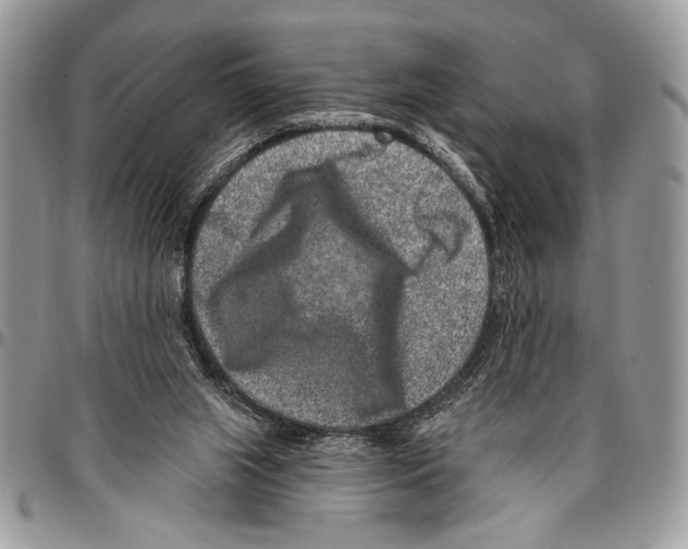 X0000095880063200802081104