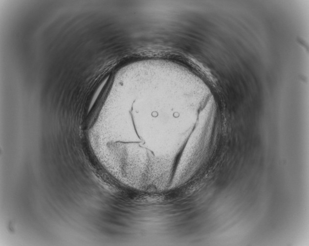 X0000095880065200802081104