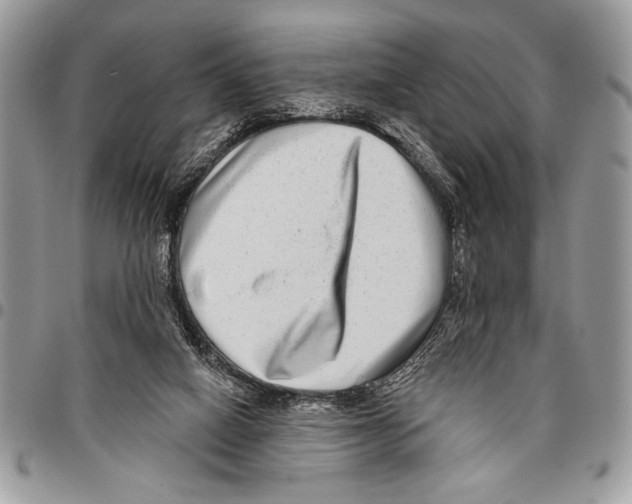 X0000095880066200802081104