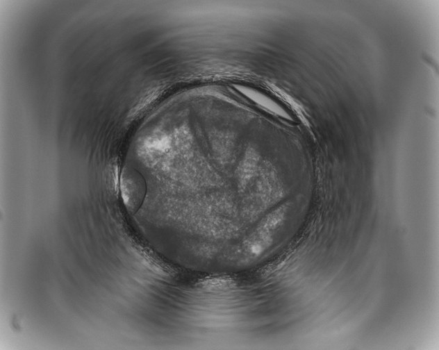 X0000095880067200802081104