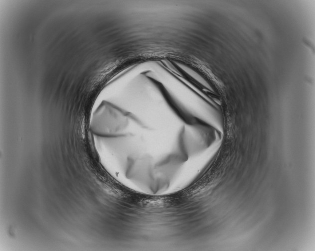 X0000095880068200802081104