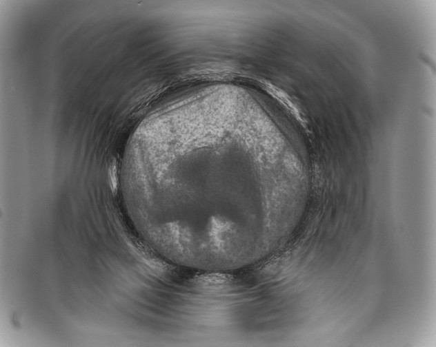 X0000095880069200802081104