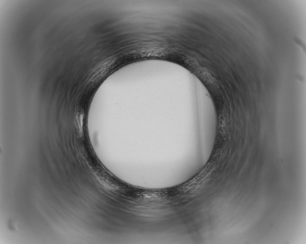 X0000095880070200802081104