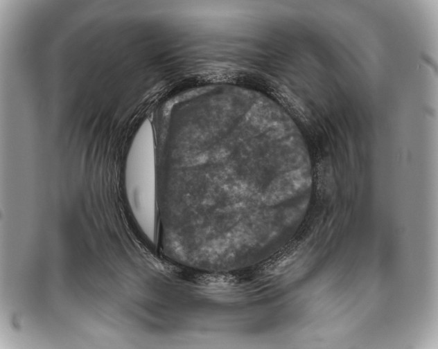 X0000095880073200802081104