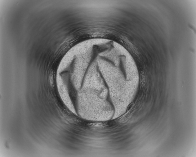 X0000095880074200802081104