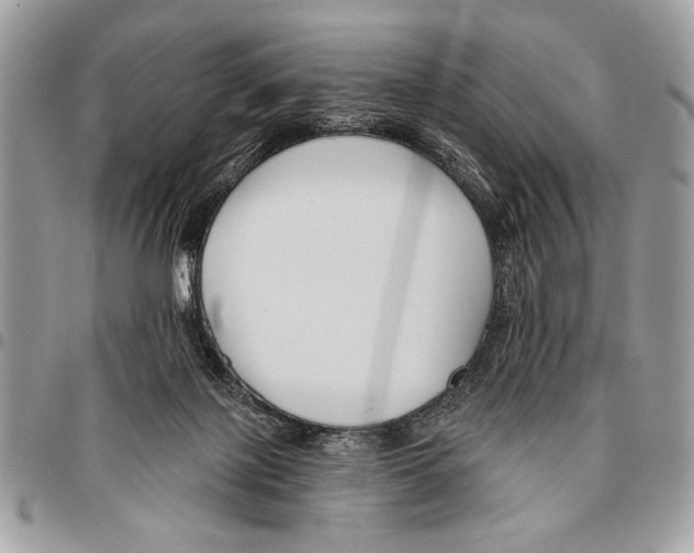 X0000095880075200802081104