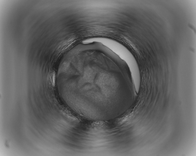 X0000095880076200802081104