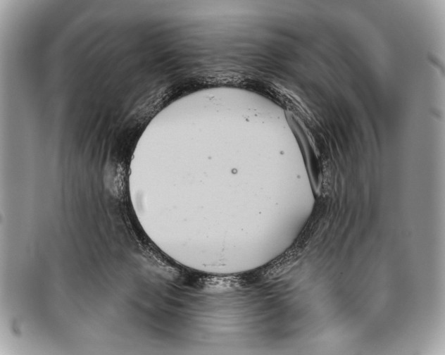 X0000095880077200802081104