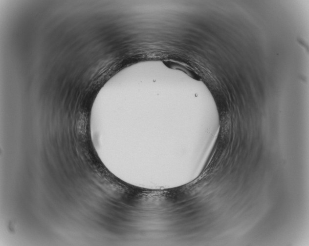 X0000095880078200802081104