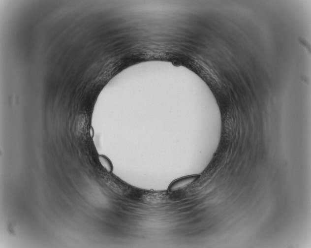 X0000095880079200802081104