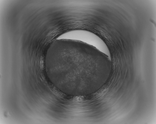 X0000095880080200802081104