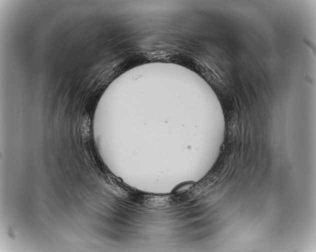 X0000095880081200802081104