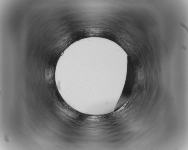 X0000095880082200802081104