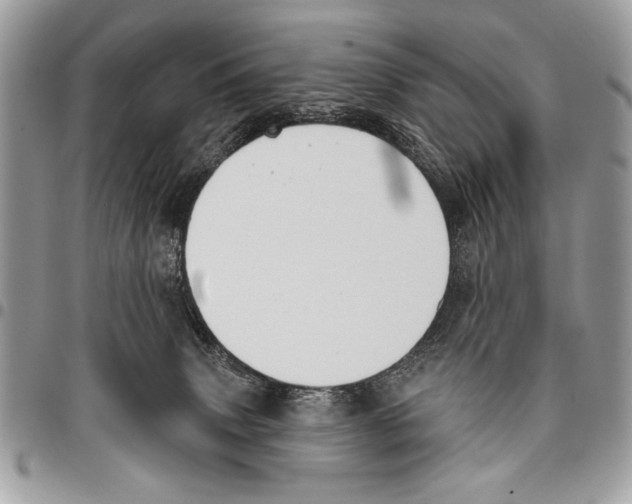 X0000095880083200802081104