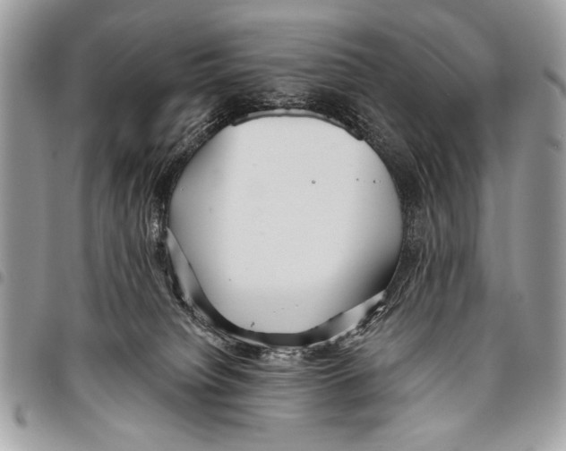 X0000095880084200802081104