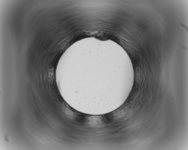 X0000095880085200802081104