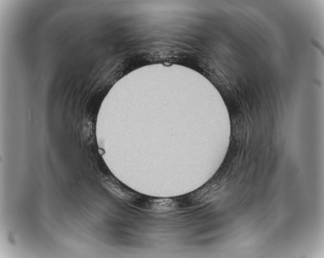 X0000095880087200802081104