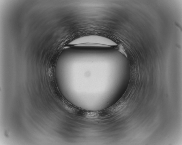 X0000095880088200802081104