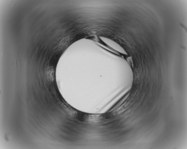 X0000095880090200802081105