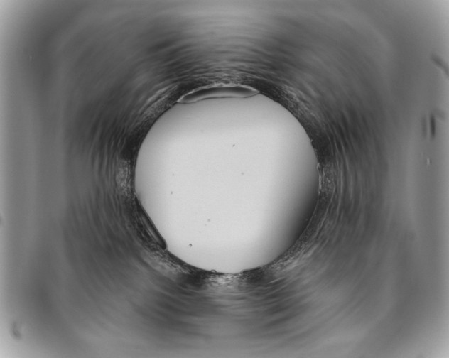 X0000095880092200802081105