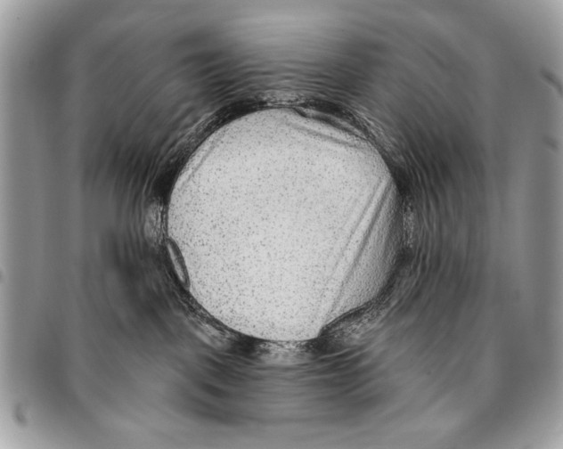 X0000095880093200802081105