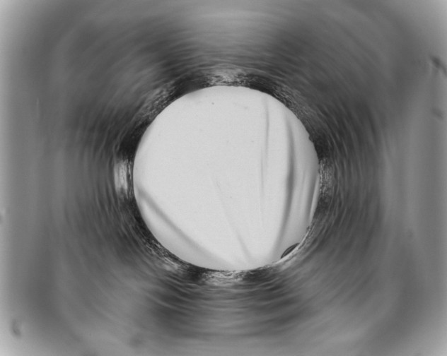 X0000095880094200802081105