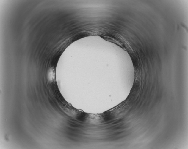 X0000095880095200802081105