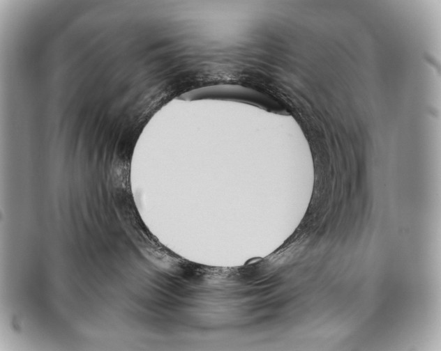 X0000095880096200802081105