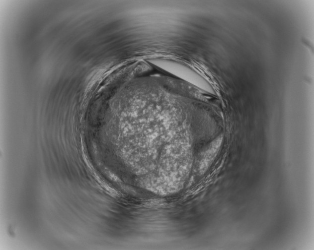 X0000095880097200802081104