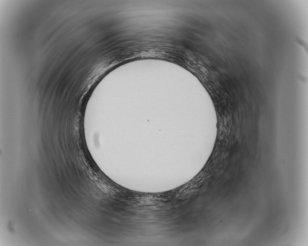 X0000095880098200802081104