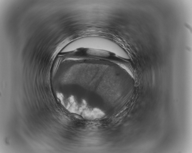 X0000095880099200802081104