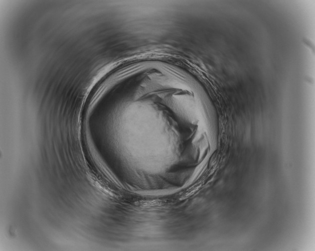 X0000095880100200802081104