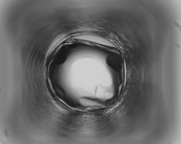 X0000095880101200802081104