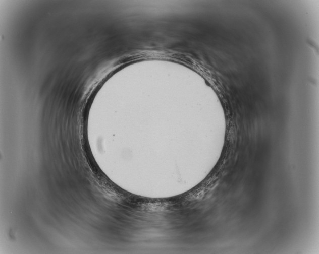 X0000095880103200802081104