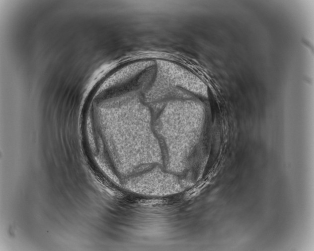 X0000095880104200802081104