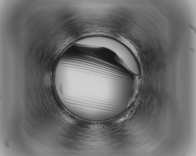 X0000095880105200802081104