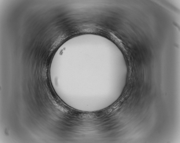 X0000095880106200802081104