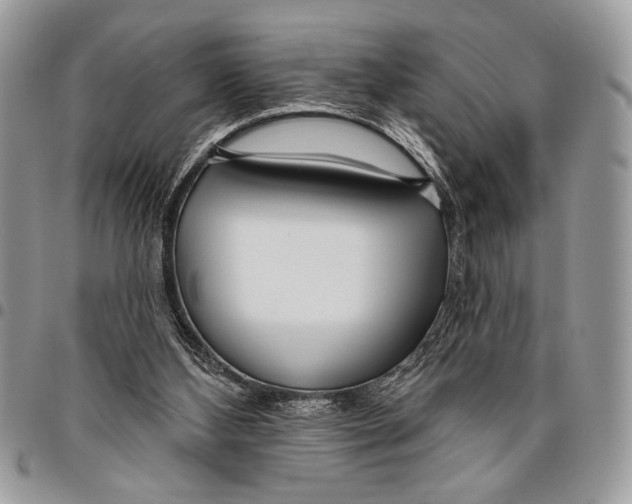 X0000095880108200802081104